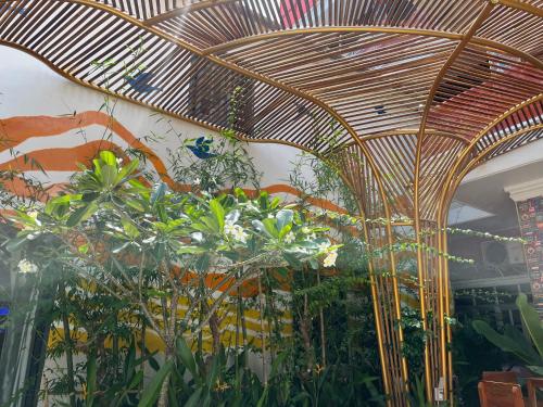 a room with a bunch of plants and a ceiling at Happy Bear Hostel Phu Quoc in Phu Quoc