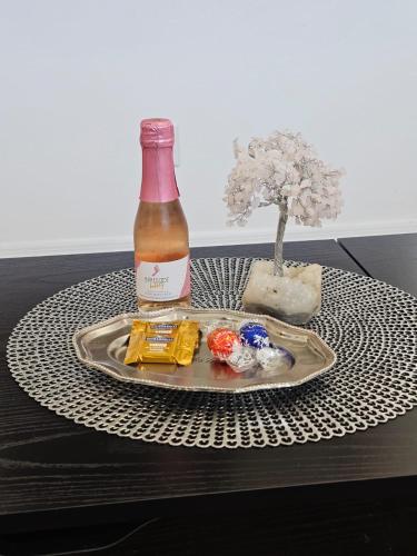 a tray with a bottle of wine and a miniature tree at Newly Renovated Modern Studio in Oviedo