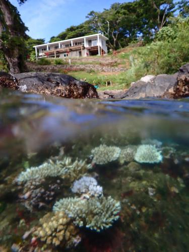 a house in the middle of a body of water at Waterfront modern 3br home Vale Ni Vonu in Nggathavulu