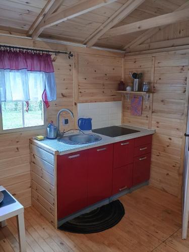 a kitchen with a sink in a wooden cabin at Domki na Kociewiu Pati in Skarszewy