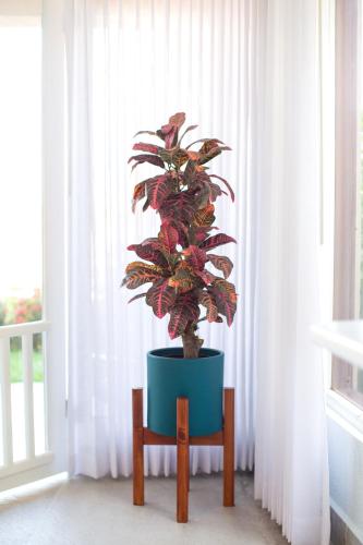 a plant in a blue pot in a room at Oceanview 3BR Villa with 3 Shared Pools and Beachfront Resort Access in Ocotal