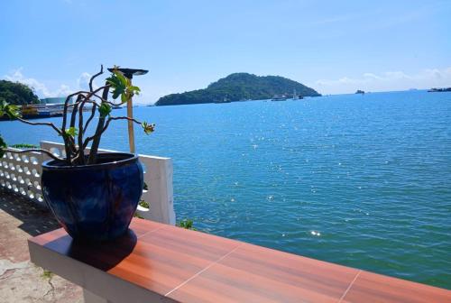 a potted plant sitting on a table next to the water at Water's Edge Resort , in Panwa Beach