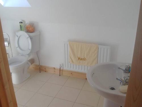 een witte badkamer met een toilet en een wastafel bij Ocean View Doogort in Doogort