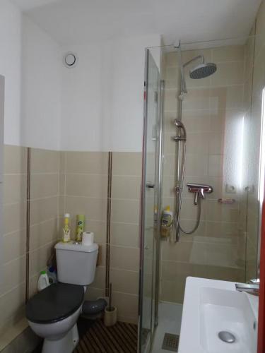 une salle de bain avec une douche, des toilettes et un lavabo dans l'établissement Les Dunes34, à Le Castellas