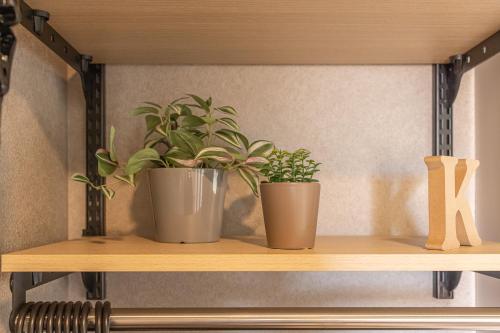 three potted plants sitting on a wooden shelf at Kstyle Apartments UNO in Tamano