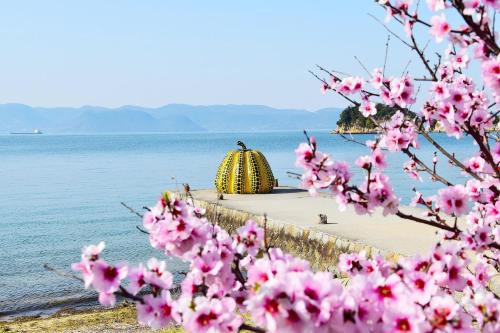 a view of the beach and a tree with pink flowers at Kstyle Apartments UNO in Tamano