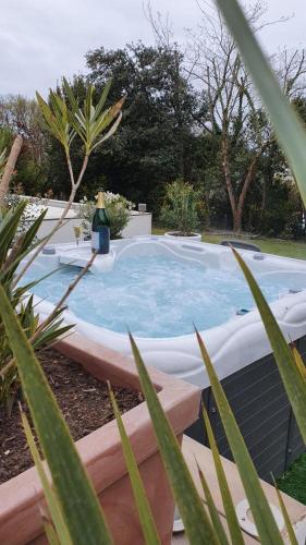 - une grande piscine dans une cour ornée de plantes dans l'établissement Villa la Dunette & spa, à Vaux-sur-Mer