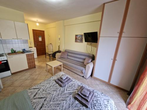 Diana's Cozy 3 Studio