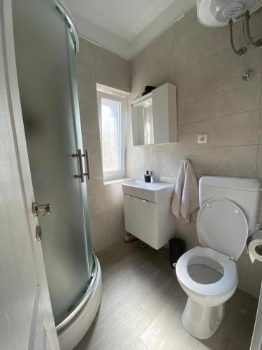 a bathroom with a shower and a toilet and a sink at Sweet holiday house in Veli Iž