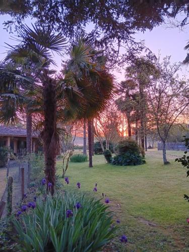 a palm tree in a park with purple flowers at Au Moulin du Comte - en gîte in Bourrouillan