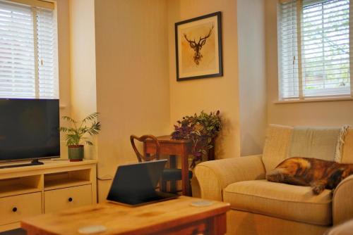 a living room with a dog laying on a couch at Broomfield Nook - 2 Bed Ground floor Maisonette close to Harry Potter studio tour in Abbots Langley