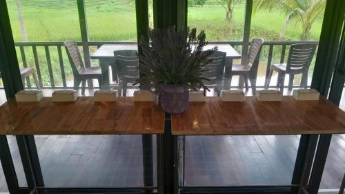 a wooden table with a potted plant on a porch at Mai Chau Onsen Retreat in Mai Chau