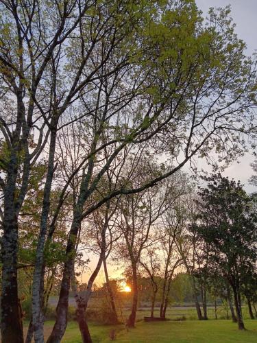 a group of trees with the sunset in the background at Le Moulin du Comte in Bourrouillan