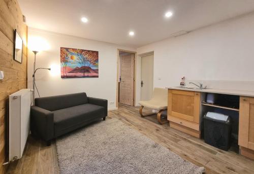 un salon avec un canapé et un bureau dans l'établissement Private terrace, cosy appartement, ideal couple, bbq,relax, welcome, near La Clusaz, Grand Bornand, Annecy and lake, many sports and entertainment activities summer and winter, à Les Villards-sur-Thônes