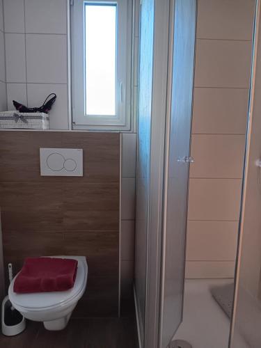 a bathroom with a toilet and a window at Ferienwohnung Götz in Bruttig-Fankel