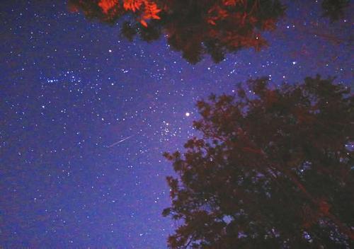 Fotografie z fotogalerie ubytování Napahong forest camp v destinaci Ban Pa Ha