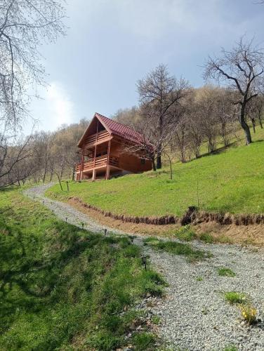 Příroda nedaleko chaty