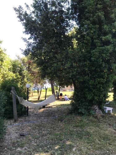 Fotografie z fotogalerie ubytování Ktima Dadouli v destinaci Plaka Litochorou