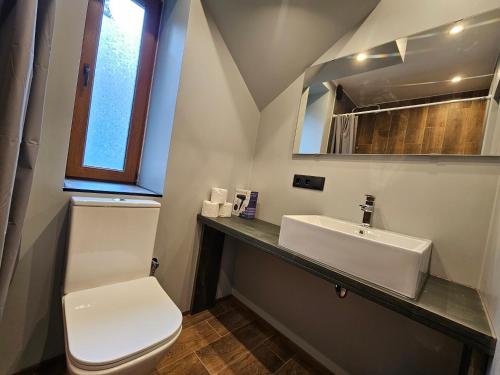 a bathroom with a white toilet and a sink at Brīvdienu māja Sauleskrasti in Mērsrags