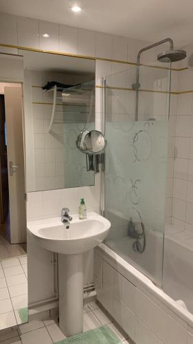 une salle de bain avec un lavabo et une douche dans l'établissement Hays and Galia's apartment, à Saint-Grégoire