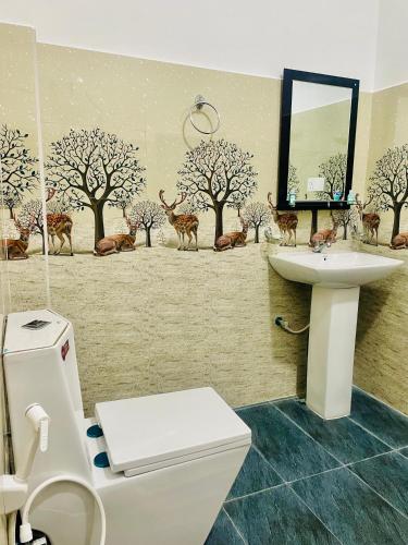 a bathroom with a toilet and a sink and a mirror at sun mount adams peak in Adams Peak