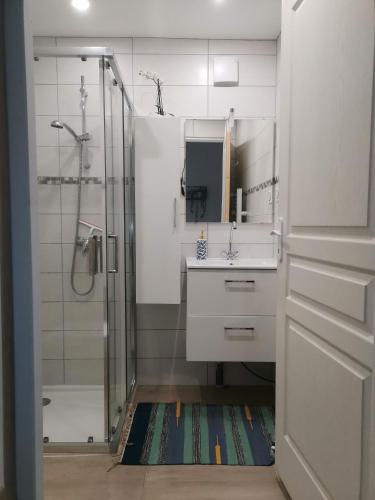 une salle de bain avec un lavabo et une douche dans l'établissement Studio dans maison indépendante, à Lissieu