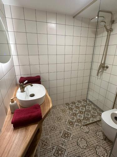 a bathroom with a sink and a shower and a toilet at Hellenurme Veskikambrid in Hellenurme