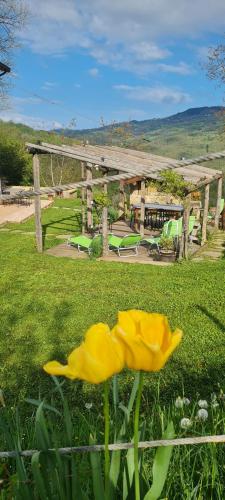 a yellow flower in front of a yard with a table at Tana della Lavanda in Montefiorino