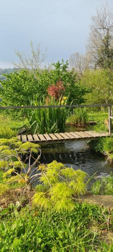 a wooden bridge over a pond in a garden at Tana della Lavanda in Montefiorino