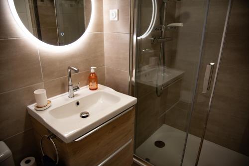 une salle de bain avec un lavabo et une douche avec un miroir dans l'établissement Bel appart près du port et de la plage, à Courseulles-sur-Mer