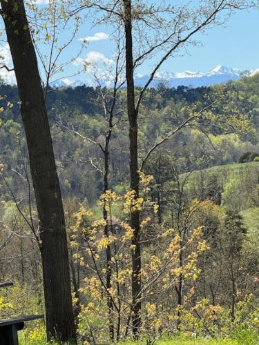 a view of a forest with trees and mountains at Casa del Sindaco in Giusvalla