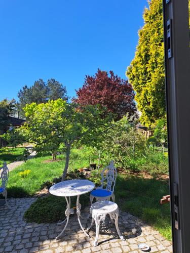 Zahrada ubytování Pokój w domu z oranżerią i śniadaniem