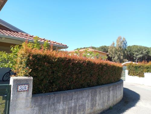 Galeriebild der Unterkunft Villa Brenda in Pizzo