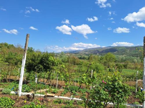 a view of a garden with mountains in the background at Spring Village Home in Përmet