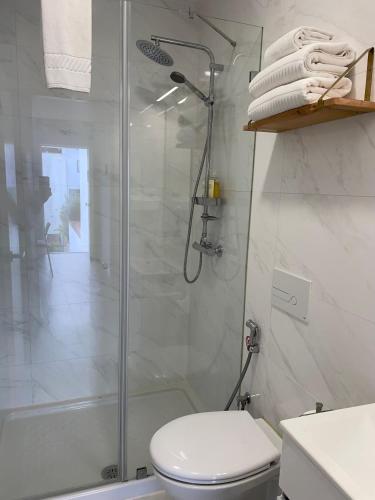 a white bathroom with a shower and a toilet at Botica Guesthouse in Espinho