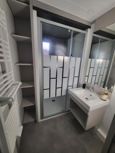 een badkamer met een wastafel, een douche en een spiegel bij Cottage Cap d Agde in Agde
