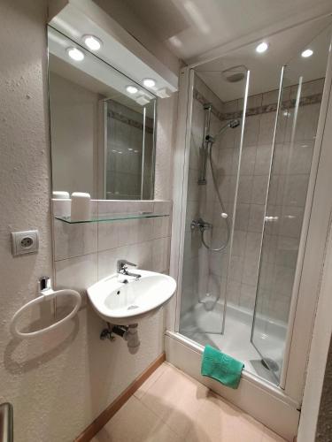 a bathroom with a sink and a shower at B&B Gite les Baudy in Le Haut-du-Them