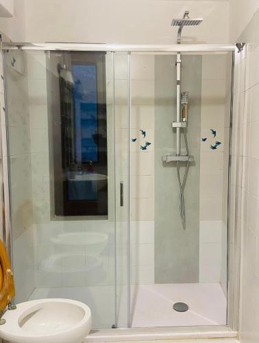 a bathroom with a shower with a toilet at La Comoedia in Amelia