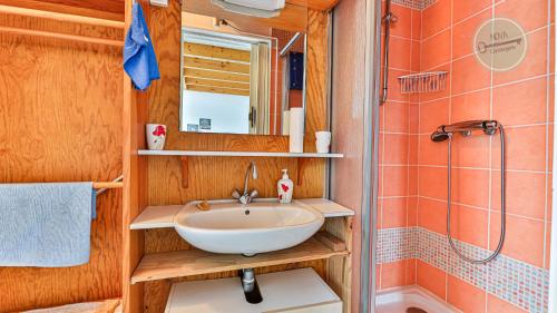 une salle de bain avec un lavabo et une douche dans l'établissement Studio mezzanine Seringas, à Plage-des-Demoiselles