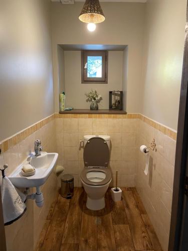 ein Badezimmer mit Toilette und Waschbecken in der Unterkunft Appartement Le feron in Vic-sur-Cère