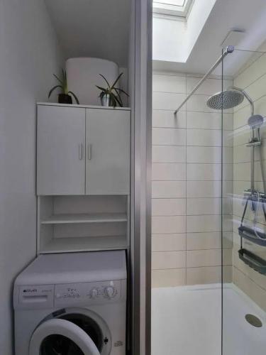 une machine à laver dans une salle de bain avec douche dans l'établissement Maison accueillante à Saintes-Maries-de-la-Mer avec jardin clos, à Saintes-Maries-de-la-Mer