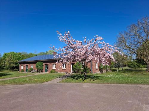 a house with a flowering tree in front of it at Farm-Chalets Apartment Park in Renzow