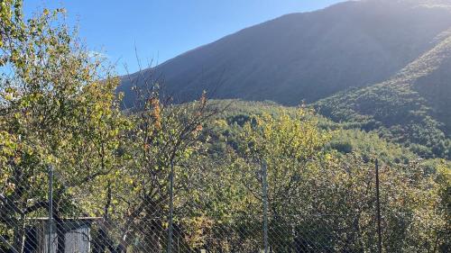 a view of a mountain with trees in the foreground at La casa nel borgo in Monte Sabinese