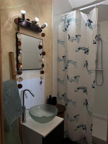 une salle de bain avec un lavabo et un rideau de douche dans l'établissement La petite maison chez jp Eurexpo-LDLC arena-Stade OL, à Chassieu