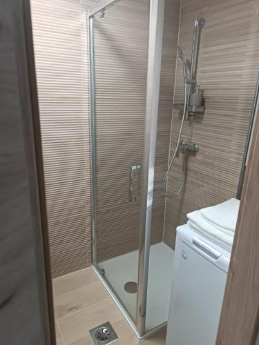 eine Dusche mit einer Glastür in einem Badezimmer in der Unterkunft CoCo Apartment in Ljubljana