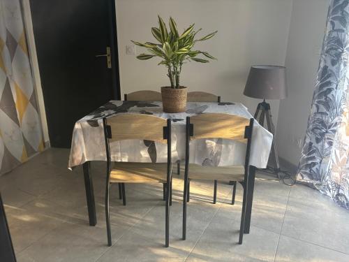 a dining room table with a potted plant on it at Appartement cosy avec jardin in Nyons