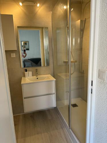 une salle de bain avec un lavabo et une douche dans l'établissement maison 4 personnes avec piscine, mer 200m à pieds, à Marseillan