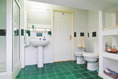 a bathroom with a sink and a toilet at Country Club La Mesteceni in Sebeş
