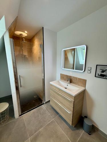 une salle de bain avec une douche, un lavabo et un miroir dans l'établissement Gite de charme avec piscine 4 chambres, à Rouffignac-Saint-Cernin-de-Reilhac