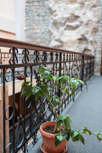 a plant in a pot sitting on a balcony at Hotel Neptun in Vidin